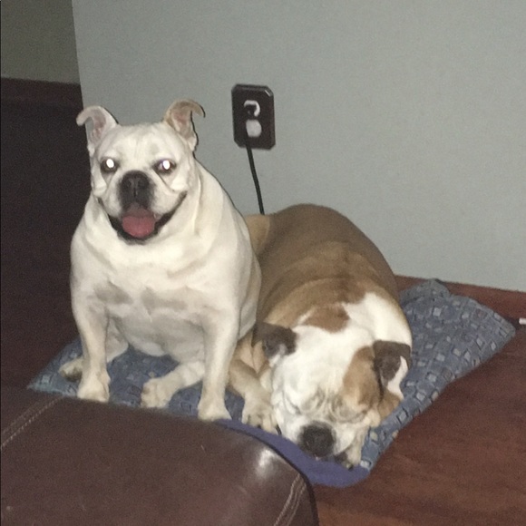 Rocky + Daisy - Picture 7 of 11